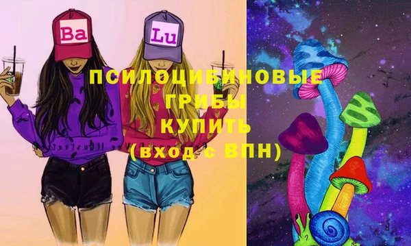 дурь Богородицк