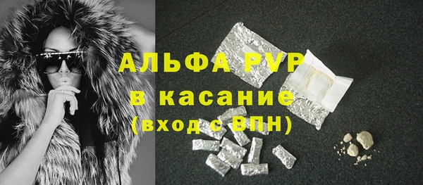 ешки Богданович