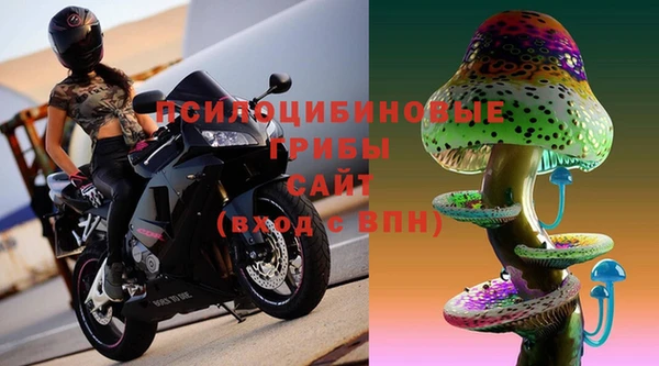дурь Богородицк