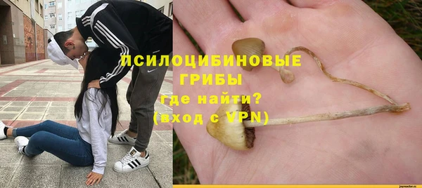 дурь Богородицк