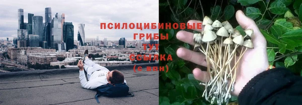 ешки Богданович