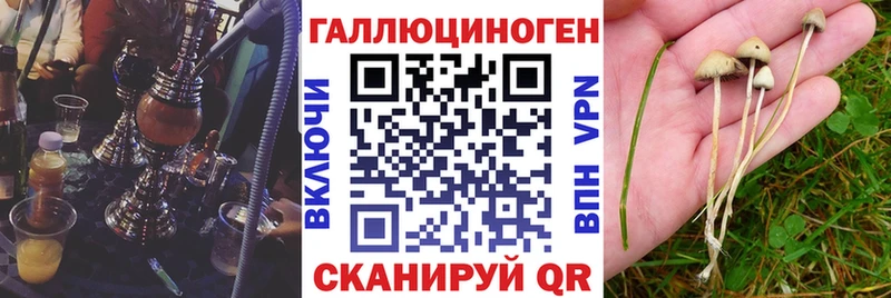 mega как зайти Набережные Челны Галлюциногенные грибы Psilocybine cubensis